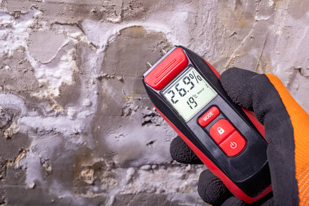 Best DIY Mold Remediation Support Services in Bowdon, GA