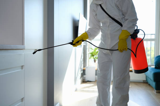 Best Bathroom Mold Remediation in Bowdon, GA