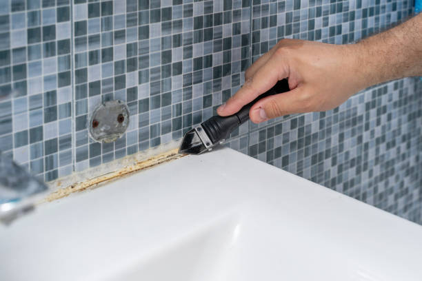 Best Commercial Mold Remediation in Bowdon, GA