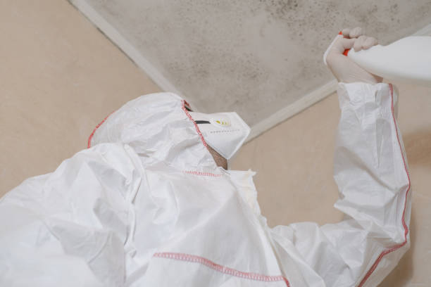 Best Post-Flood Mold Remediation in Bowdon, GA